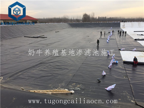 奶牛养殖基地渗滤池施工 奶牛养殖基地渗滤池施工