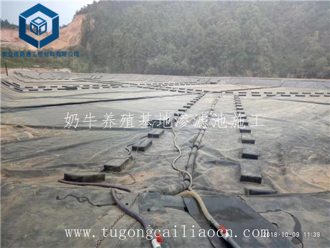 奶牛养殖基地渗滤池施工 奶牛养殖基地渗滤池施工