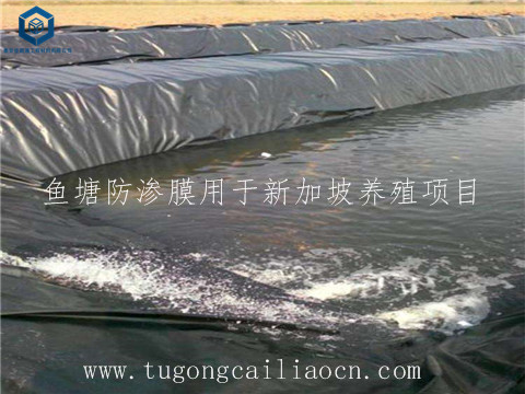 鱼塘防渗膜用于新加坡养殖 鱼塘防渗膜用于新加坡养殖