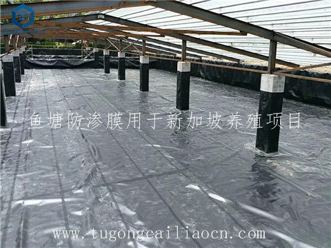 鱼塘防渗膜用于新加坡养殖 鱼塘防渗膜用于新加坡养殖