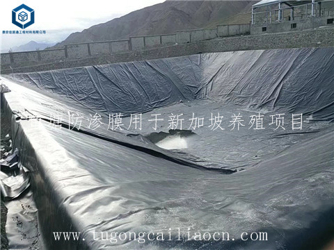 鱼塘防渗膜用于新加坡养殖 鱼塘防渗膜用于新加坡养殖