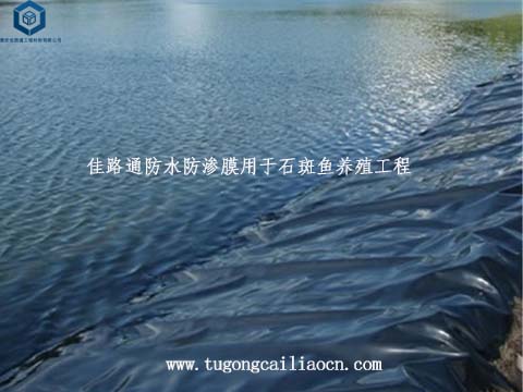 佳路通防水防渗膜用于石斑鱼养殖工程 佳路通防水防渗膜用于石斑鱼养殖工程