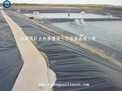 防水防渗膜用于石斑鱼养殖 防水防渗膜用于石斑鱼养殖