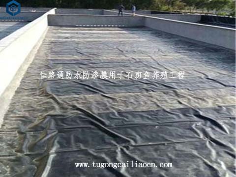 防水防渗膜用于石斑鱼养殖 防水防渗膜用于石斑鱼养殖