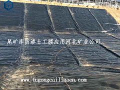 尾矿库防渗土工膜应用河北科技矿业公司