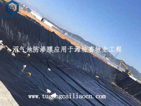 沼气池防渗膜应用于潍坊畜牧业工程