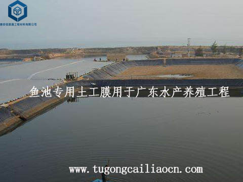 鱼池专用土工膜用于广东水产养殖工程 鱼池专用土工膜用于广东水产养殖工程