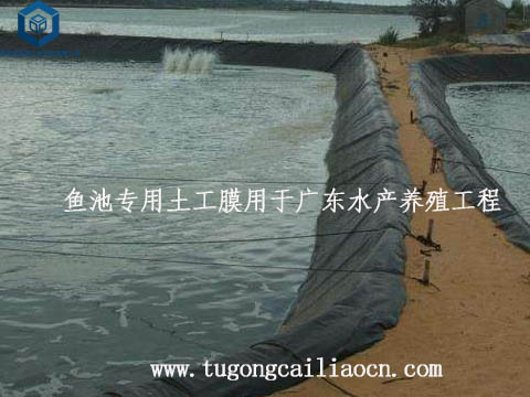 鱼池专用土工膜用于广东水产养殖工程