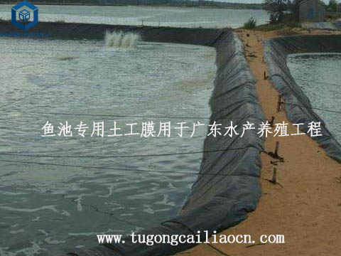 鱼池专用土工膜用于广东水产养殖工程 鱼池专用土工膜用于广东水产养殖工程