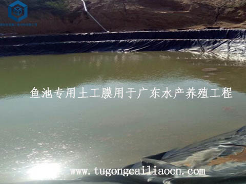 鱼池专用土工膜用于广东水产养殖工程