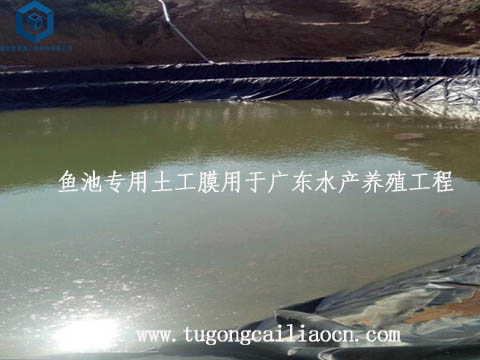 鱼池专用土工膜用于广东水产养殖工程 鱼池专用土工膜用于广东水产养殖工程
