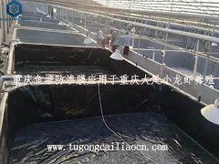 重庆鱼塘防渗膜应用于重庆大足小龙虾养殖