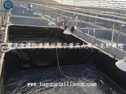 重庆鱼塘防渗膜用于小龙虾养殖 重庆鱼塘防渗膜用于小龙虾养殖