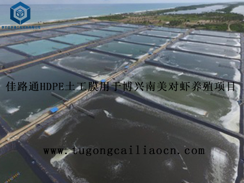 佳路通HDPE土工膜用于博兴南美对虾养殖项目