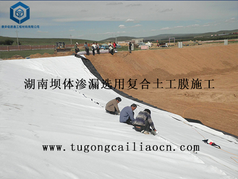 湖南坝体渗漏选用复合土工膜施工 湖南坝体渗漏选用复合土工膜施工