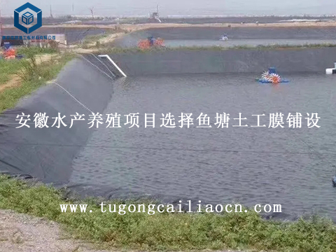 安徽水产养殖项目选择鱼塘土工膜铺设