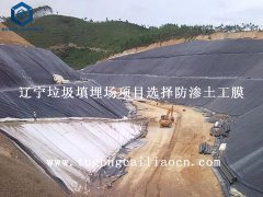 辽宁垃圾填埋场项目选择防渗土工膜