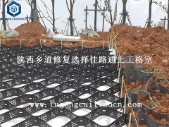 陕西乡道修复选择佳路通土工格室