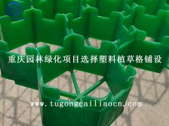 重庆园林绿化项目选择塑料植草格铺设
