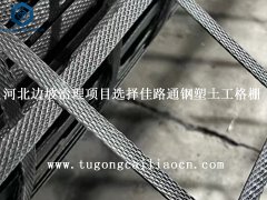 河北边坡治理项目选择佳路通钢塑土工格栅