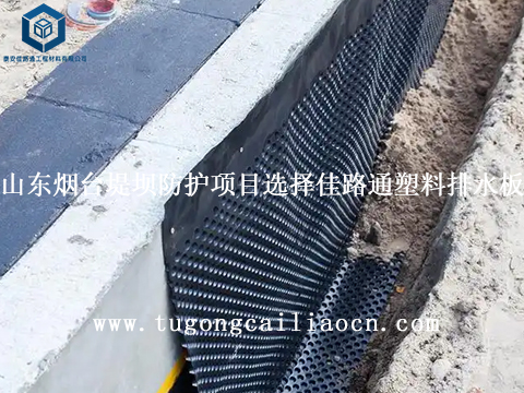 山东烟台堤坝防护项目选择佳路通塑料排水板