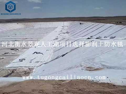 河北衡水景观人工湖项目选择膨润土防水毯