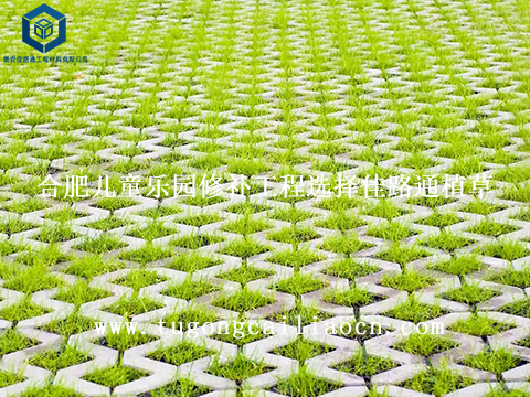 合肥儿童乐园修补工程选择佳路通植草格