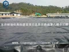 东营猪场化粪池建设项目选择佳路通聚乙