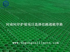 河南河岸护坡项目选择佳路通植草格