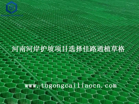 河南河岸护坡项目选择佳路通植草格