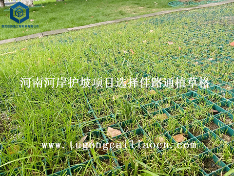 河南河岸护坡项目选择佳路通植草格