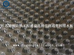 江苏堤坝防洪工程建设选择佳路通塑料排水板