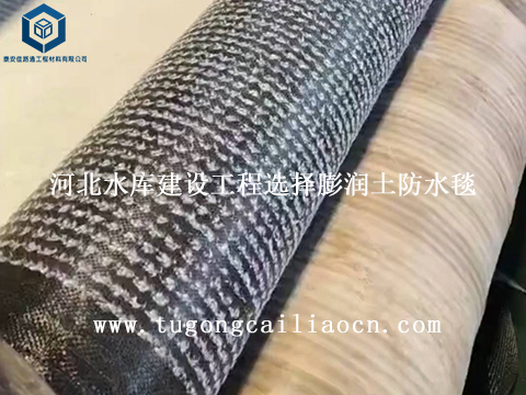 河北水库建设工程选择膨润土防水毯