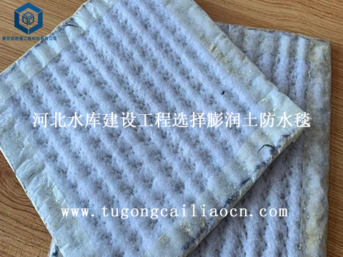 河北水库建设工程选择膨润土防水毯