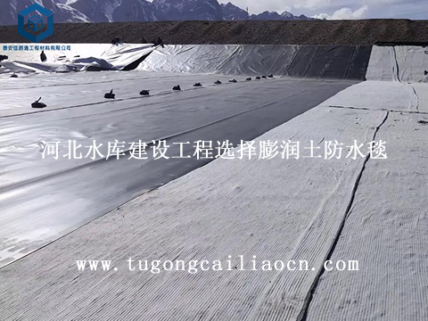 河北水库建设工程选择膨润土防水毯