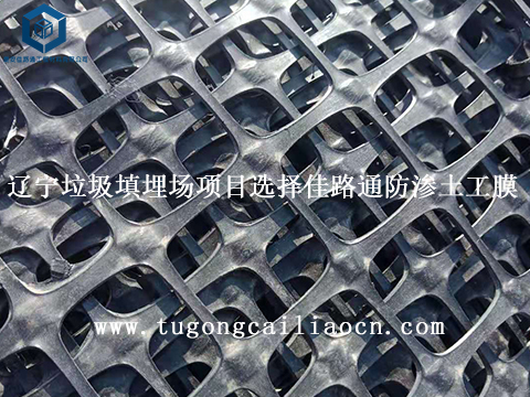 湖北水利堤坝加固项目选择钢塑土工格栅