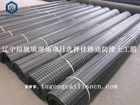 湖北水利堤坝加固项目选择钢塑土工格栅