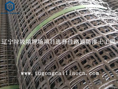 湖北水利堤坝加固项目选择钢塑土工格栅