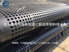 连云港水库抢险加固工程选择塑料排水板