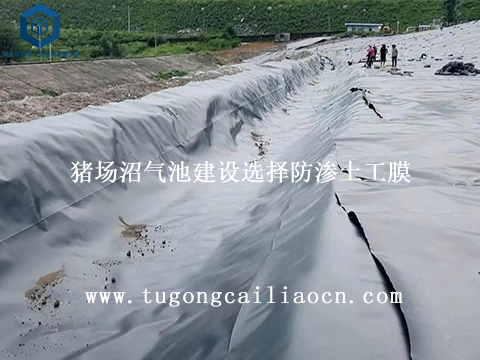 云南吴总大型沼气工程防渗案例---防渗土工膜用于猪场沼气池建设 云南吴总大型沼气工程防渗案例---防渗土工膜用于猪场沼气池建设