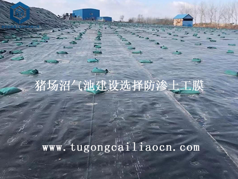 云南吴总大型沼气工程防渗案例---防渗土工膜用于猪场沼气池建设 云南吴总大型沼气工程防渗案例---防渗土工膜用于猪场沼气池建设