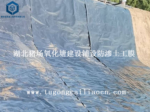 湖北猪场氧化塘建设铺设防渗土工膜