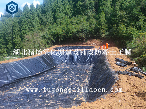 湖北猪场氧化塘建设铺设防渗土工膜