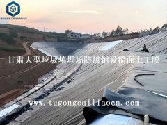 甘肃大型垃圾填埋场防渗铺设糙面土工膜