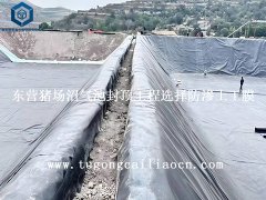东营猪场沼气池封顶工程选择防渗土工膜
