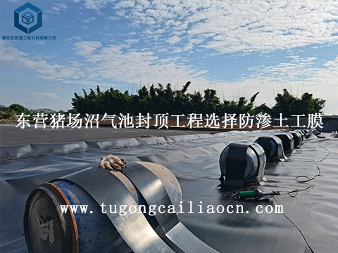 东营猪场沼气池封顶工程选择防渗土工膜