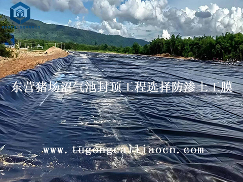 东营猪场沼气池封顶工程选择防渗土工膜
