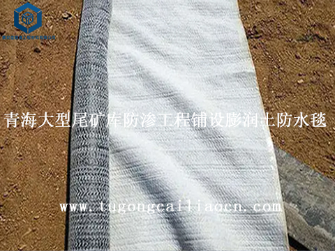 青海大型尾矿库防渗工程铺设膨润土防水毯