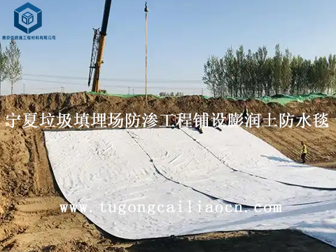 宁夏大型垃圾填埋场防渗工程铺设膨润土防水毯 宁夏大型垃圾填埋场防渗工程铺设膨润土防水毯